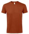 11500 Imperial Heavy T-Shirt Terracotta colour image